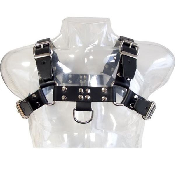 LEDERBODY ? KETTENHARNESS III – Bild 2