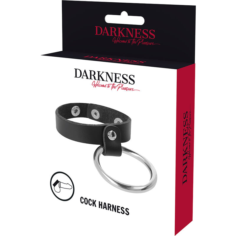 DARKNESS - METALLRING FÜR PENIS UND HODEN – Bild 2